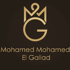 شريك نجاح 2